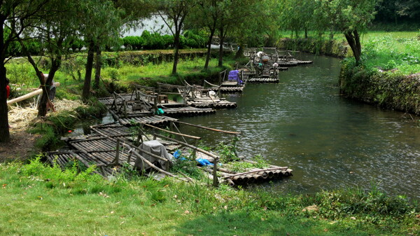 竹船绿地图片