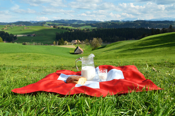 草地上的牛奶与面包图片