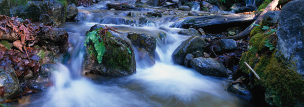 溪水急流