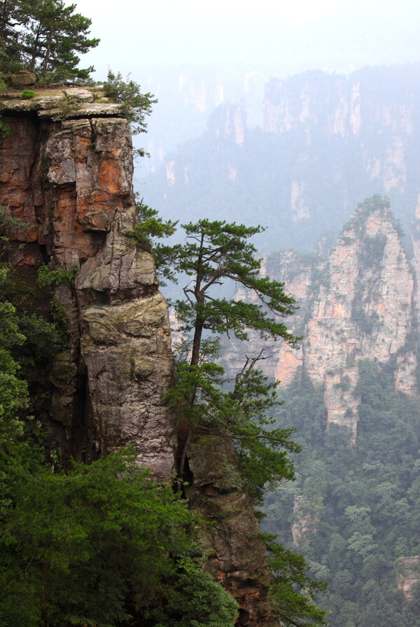 张家界奇石山峰风光图片