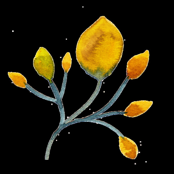 黄色秋天树叶卡通水彩透明素材