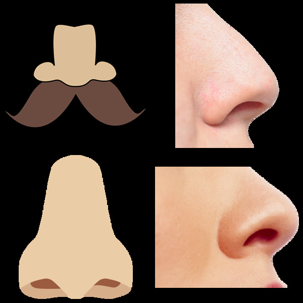 人的鼻子免抠png透明图层素材