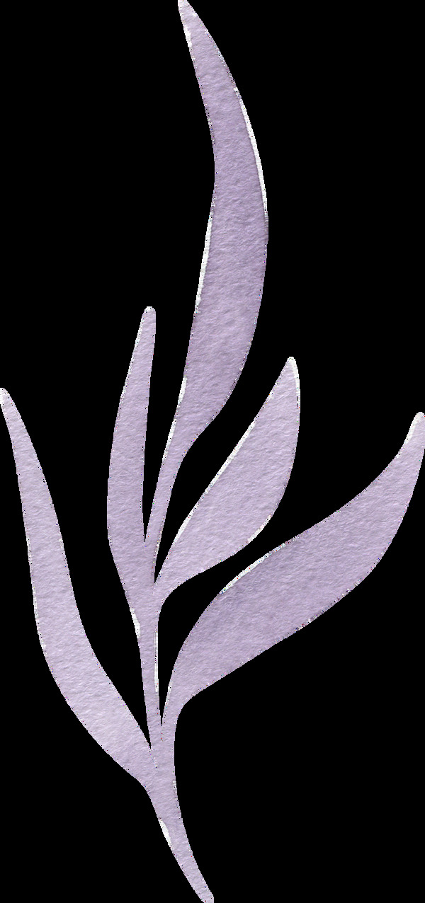 灿紫花束卡通水彩透明素材
