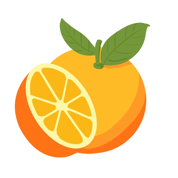 带叶子的橙子插画