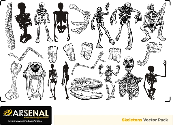 GoMedia出品潮流矢量素材Set14骷髅