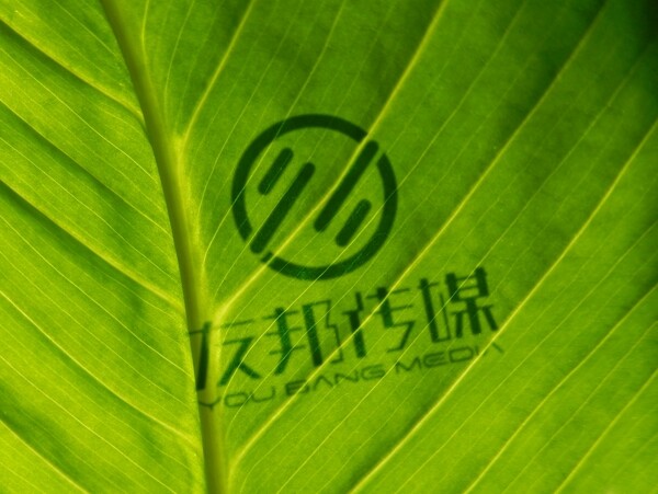 LOGO智能贴图效果图提案