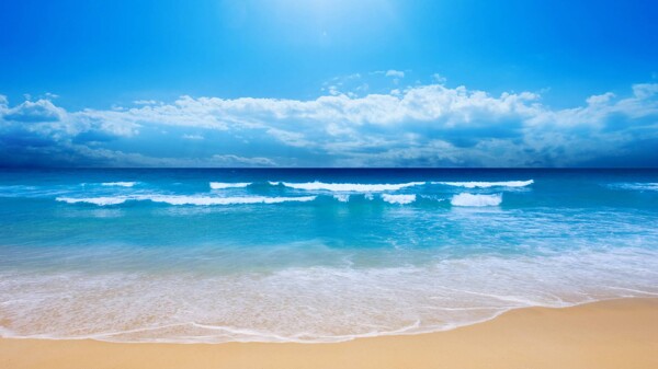 清爽夏季海洋沙滩背景