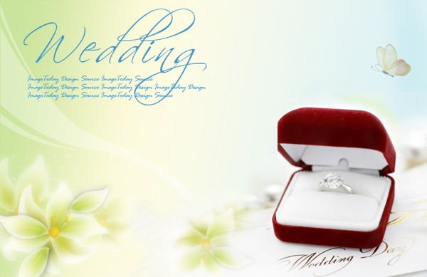 韩国清新婚礼戒指背景图片