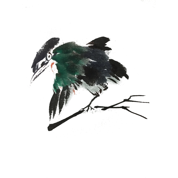 中国风水墨鸟手绘插画
