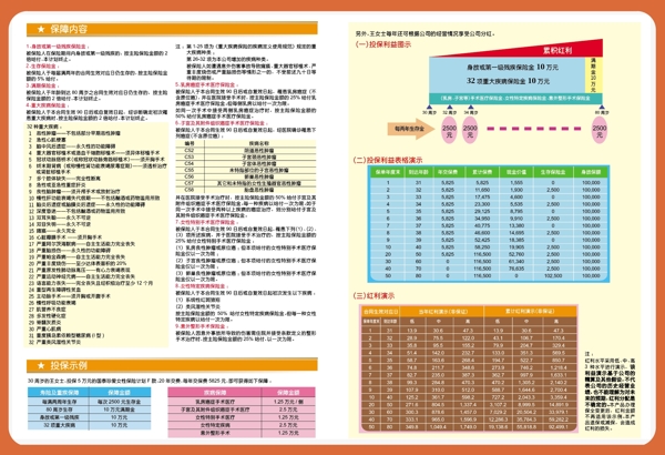 国泰保险dm传单单页图片