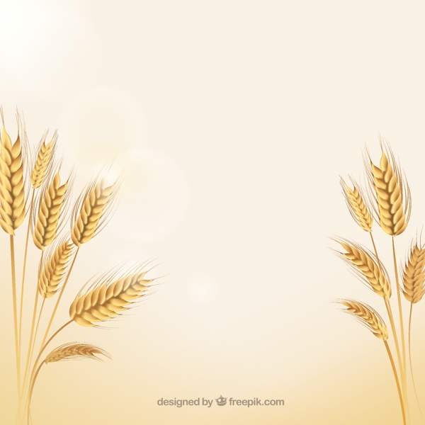 自然麦穗