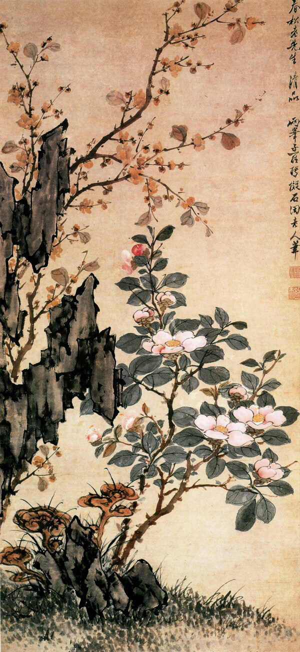 花卉图花鸟画中国古画0534