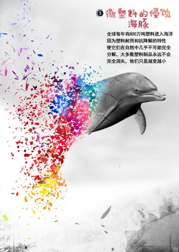 微塑料的侵蚀海豚海报