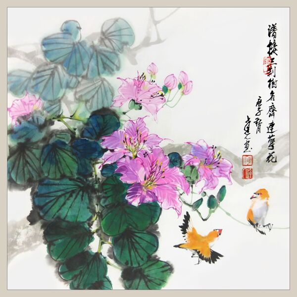 二十四节之大雪紫荆李达人图片