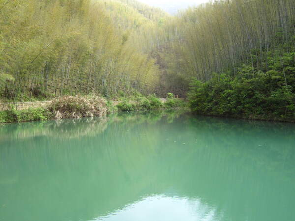 碧绿的湖水图片