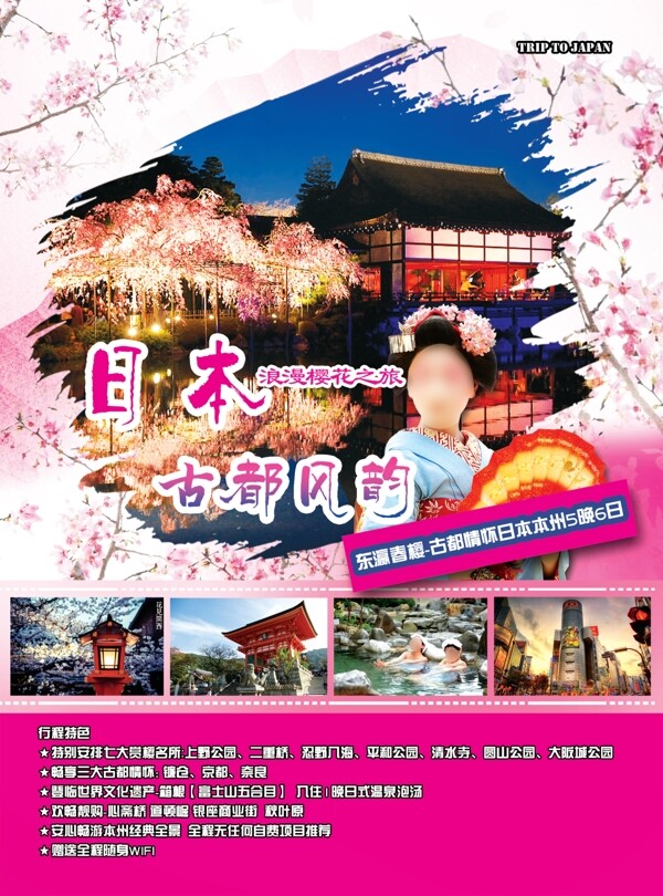 日本旅行樱花素材日本彩页设计
