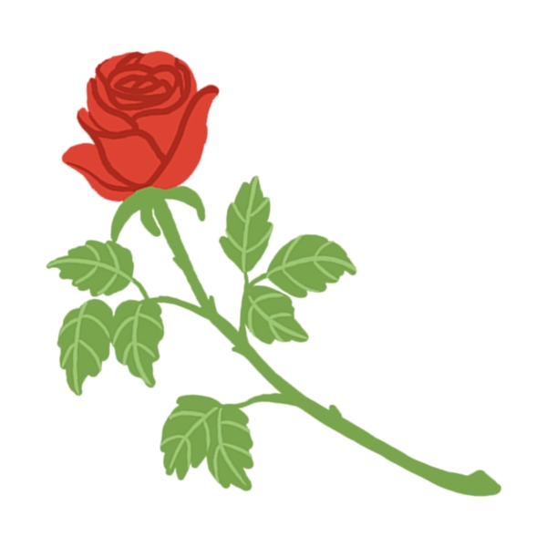 手绘玫瑰花卉PNG透明素材
