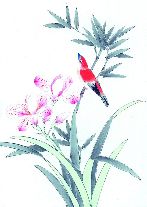 植物上的红色小鸟图片