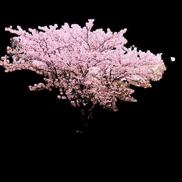 桃花树木园林景观素材