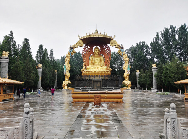 潍坊金泉寺金身巨型佛像