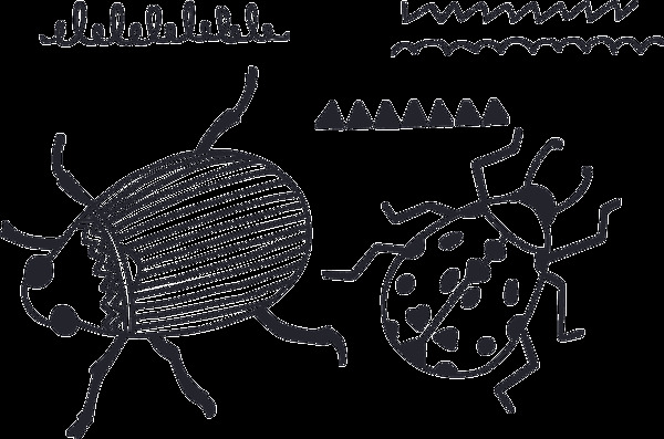 动物昆虫卡通透明素材