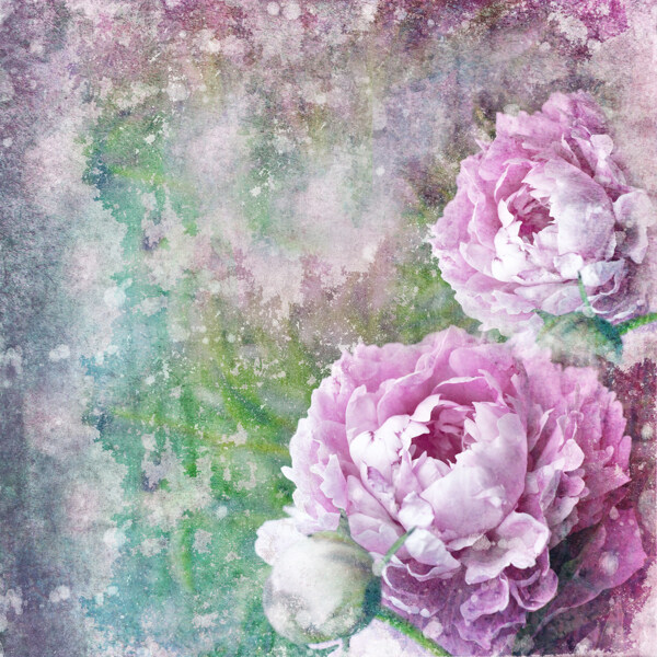手绘粉色花朵图片