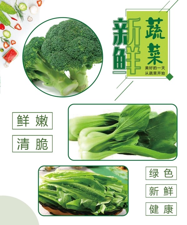 新鲜蔬菜无添加剂绿色健康