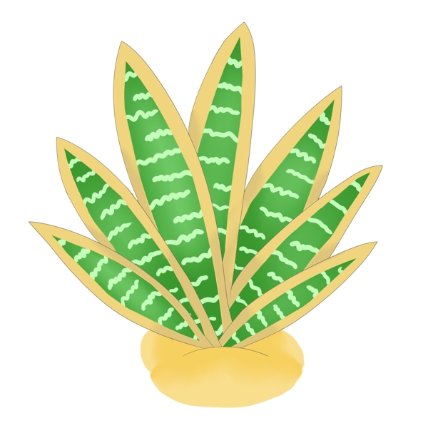 尖形热带植物