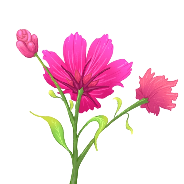 手绘粉红花卉免扣可商用素材