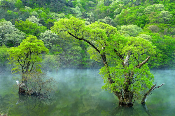 自然风景