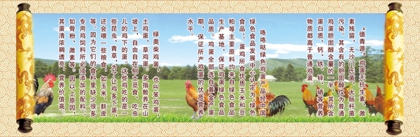 草原鸡图片