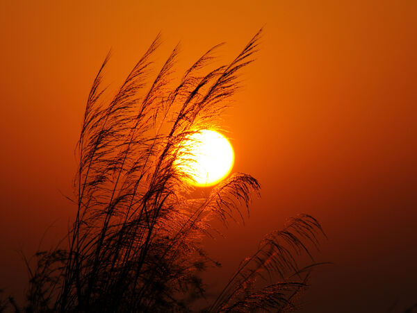 夕阳美景