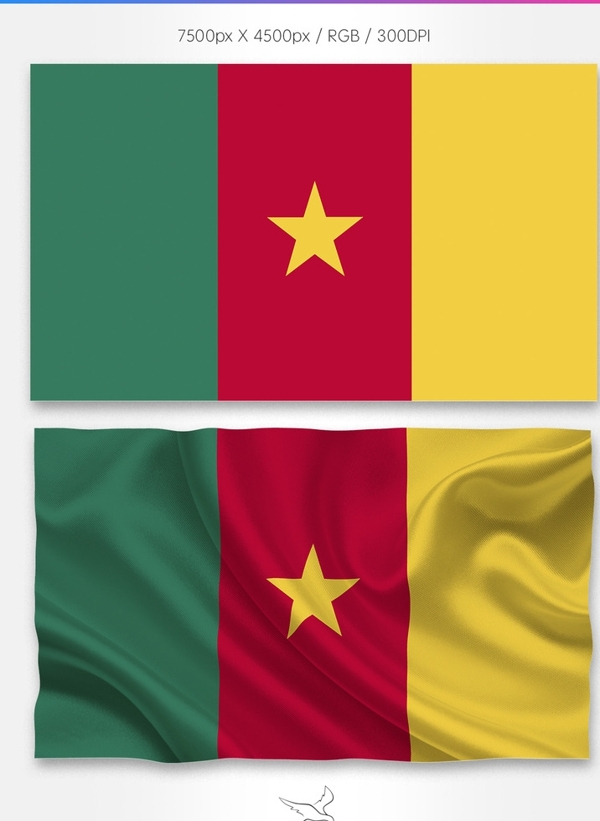 喀麦隆国旗分层psd
