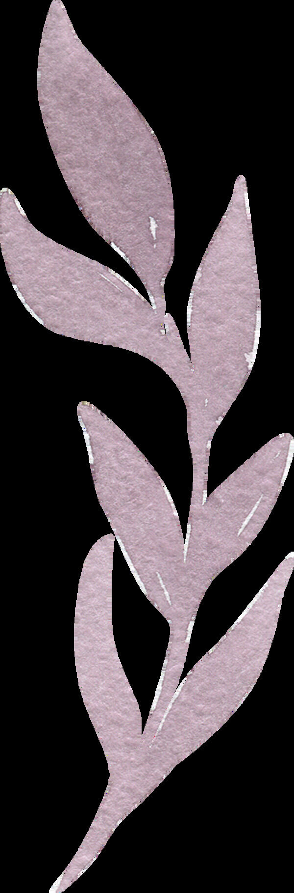 紫色叶子透明素材