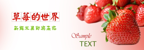 水果草莓网页产品首图
