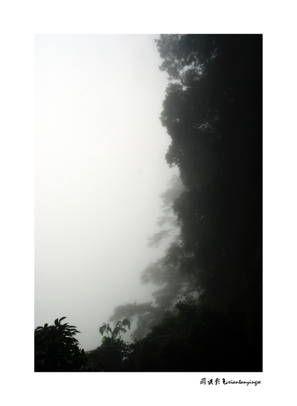 雨雾山景