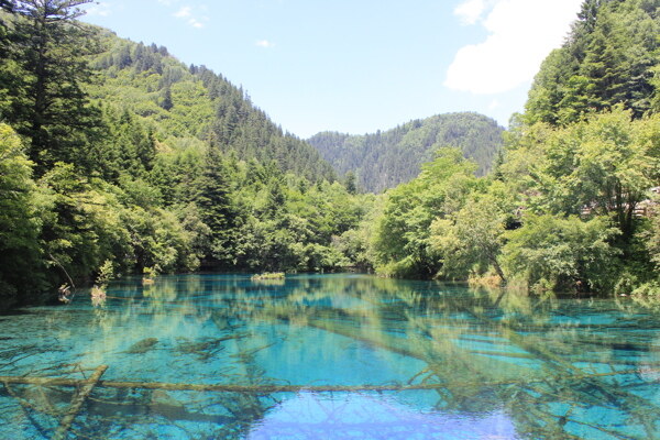 山上池塘景观图图片