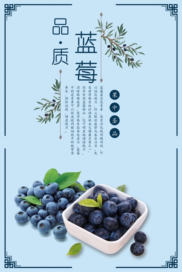2017年蓝莓水果小清新海报