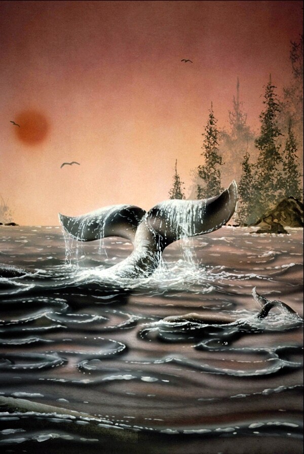 鲸动物丙烯画装饰画0028