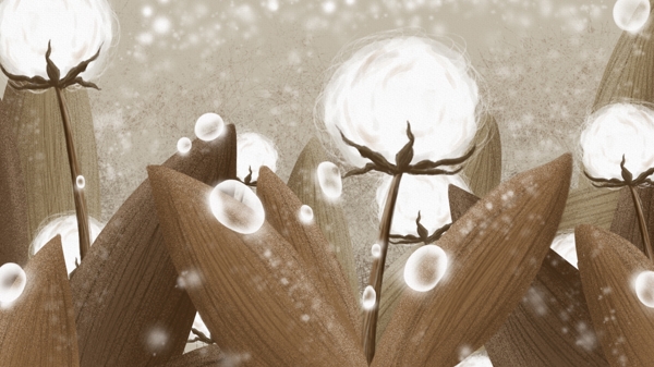 雪中棉花丛的寒露插画