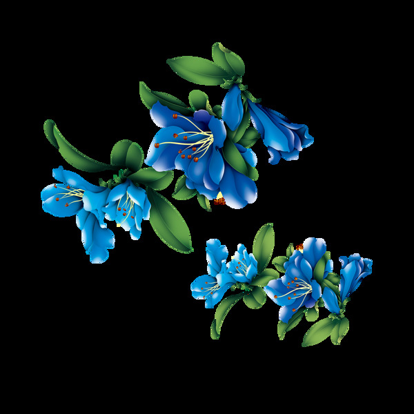 蓝色精美花朵