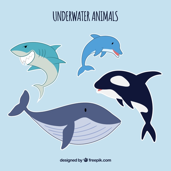 海洋卡通动物