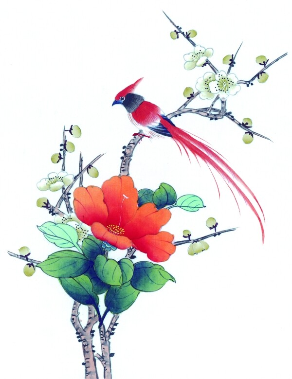花卉与红色小鸟图片