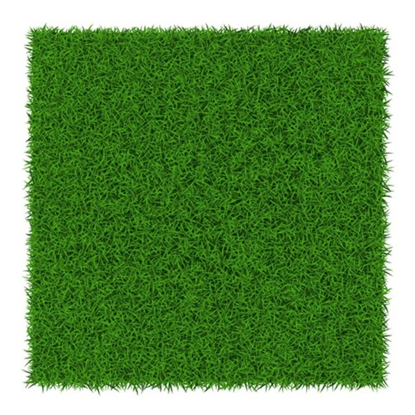 正方向形绿色草地背景图