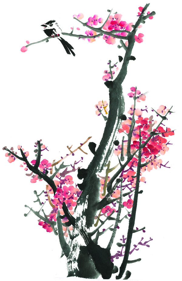 水墨梅花鸟类绘画图片