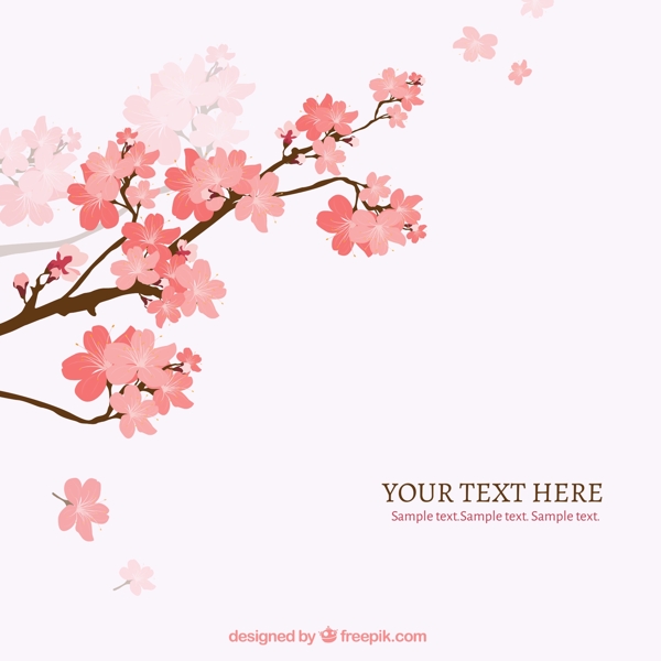 樱花花枝背景矢量素材图片