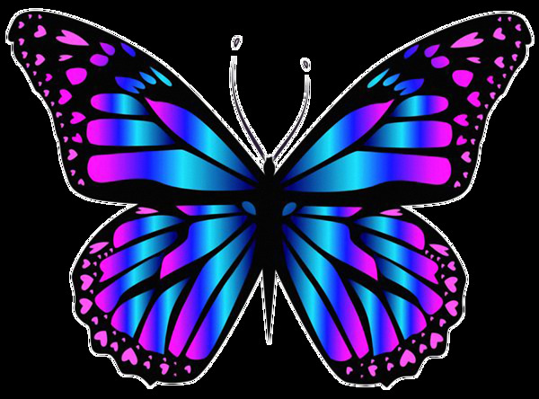漂亮的彩色蝴蝶免抠png透明素材