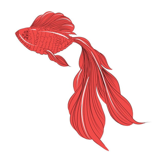 手绘动物中国风红色金鱼