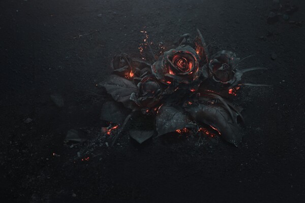 燃尽的黑色玫瑰