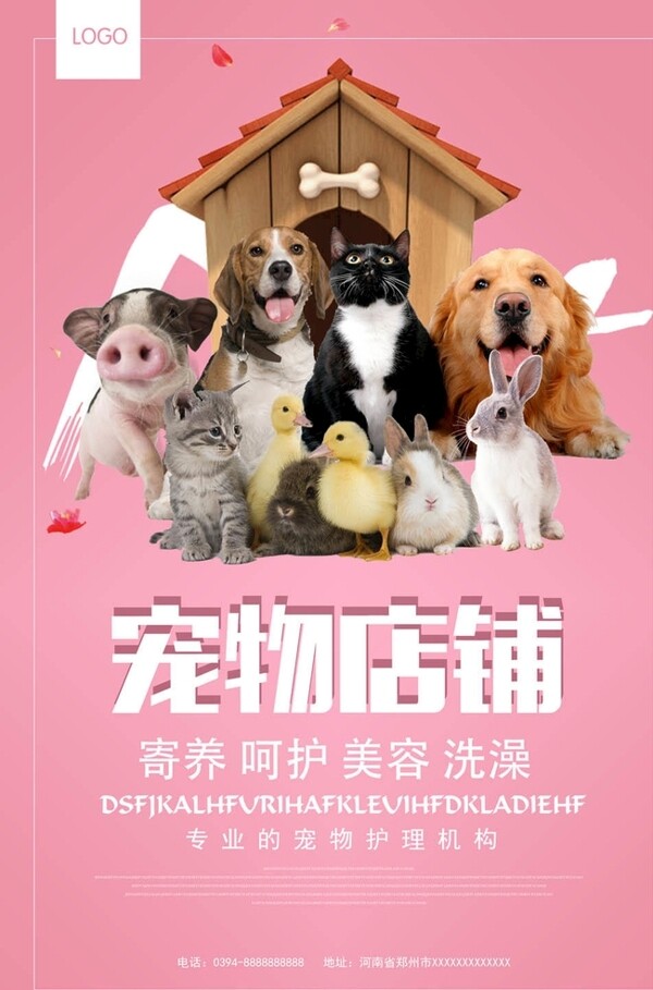 宠物海报